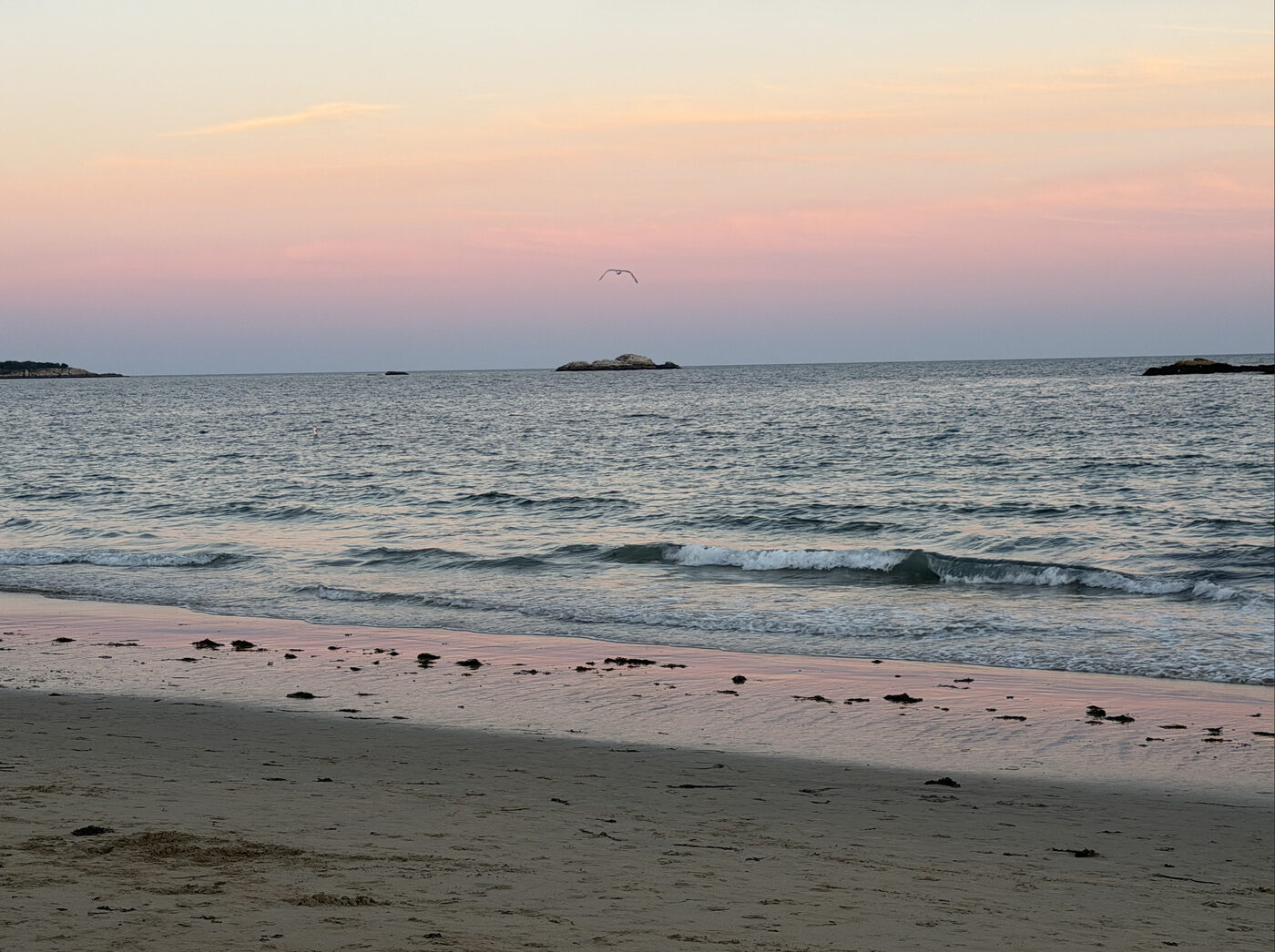 The shoreline at Singing Beach, Manchester-by-the-Sea